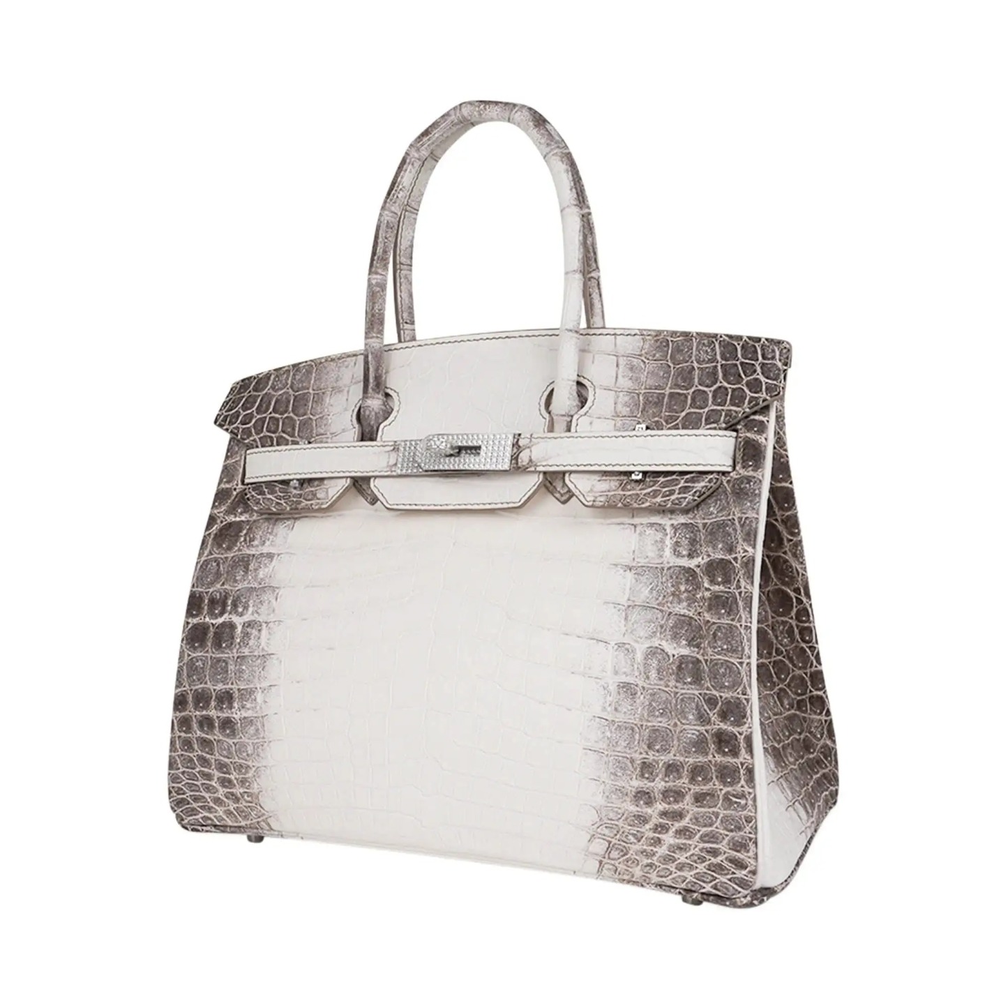 Herthtmes Birkin 30 Bag Diamond Himalaya Blanc Matte Niloticus Crocodile with 18k White Gold Hardware