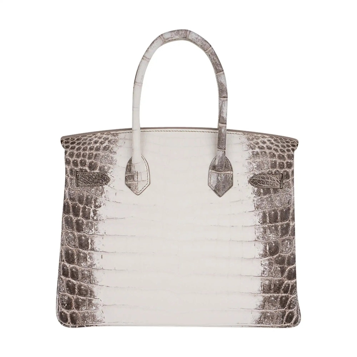 Herthtmes Birkin 30 Bag Diamond Himalaya Blanc Matte Niloticus Crocodile with 18k White Gold Hardware