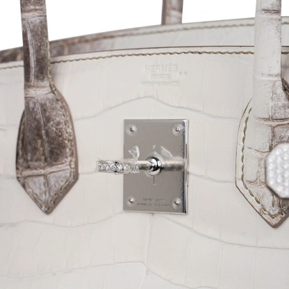 Herthtmes Birkin 30 Bag Diamond Himalaya Blanc Matte Niloticus Crocodile with 18k White Gold Hardware