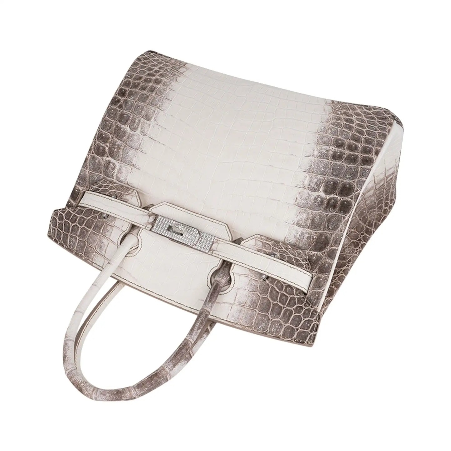 Herthtmes Birkin 30 Bag Diamond Himalaya Blanc Matte Niloticus Crocodile with 18k White Gold Hardware