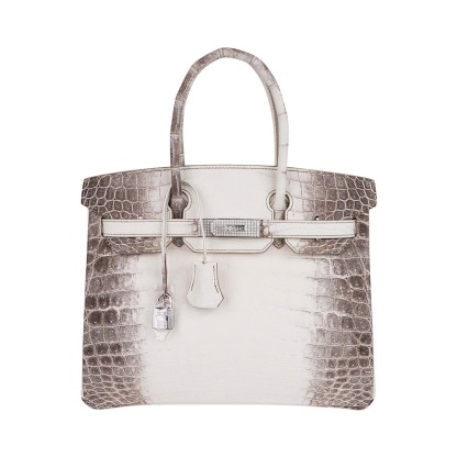 Herthtmes Birkin 30 Bag Diamond Himalaya Blanc Matte Niloticus Crocodile with 18k White Gold Hardware