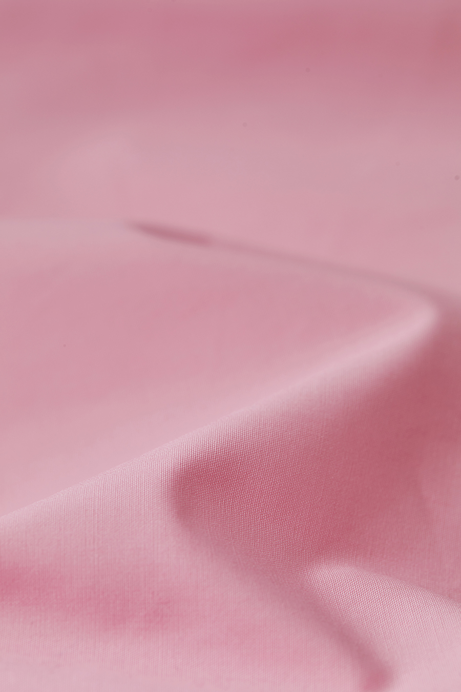 Rhinestone Embroidery All - Cotton Shirt|AMII-AMII.com