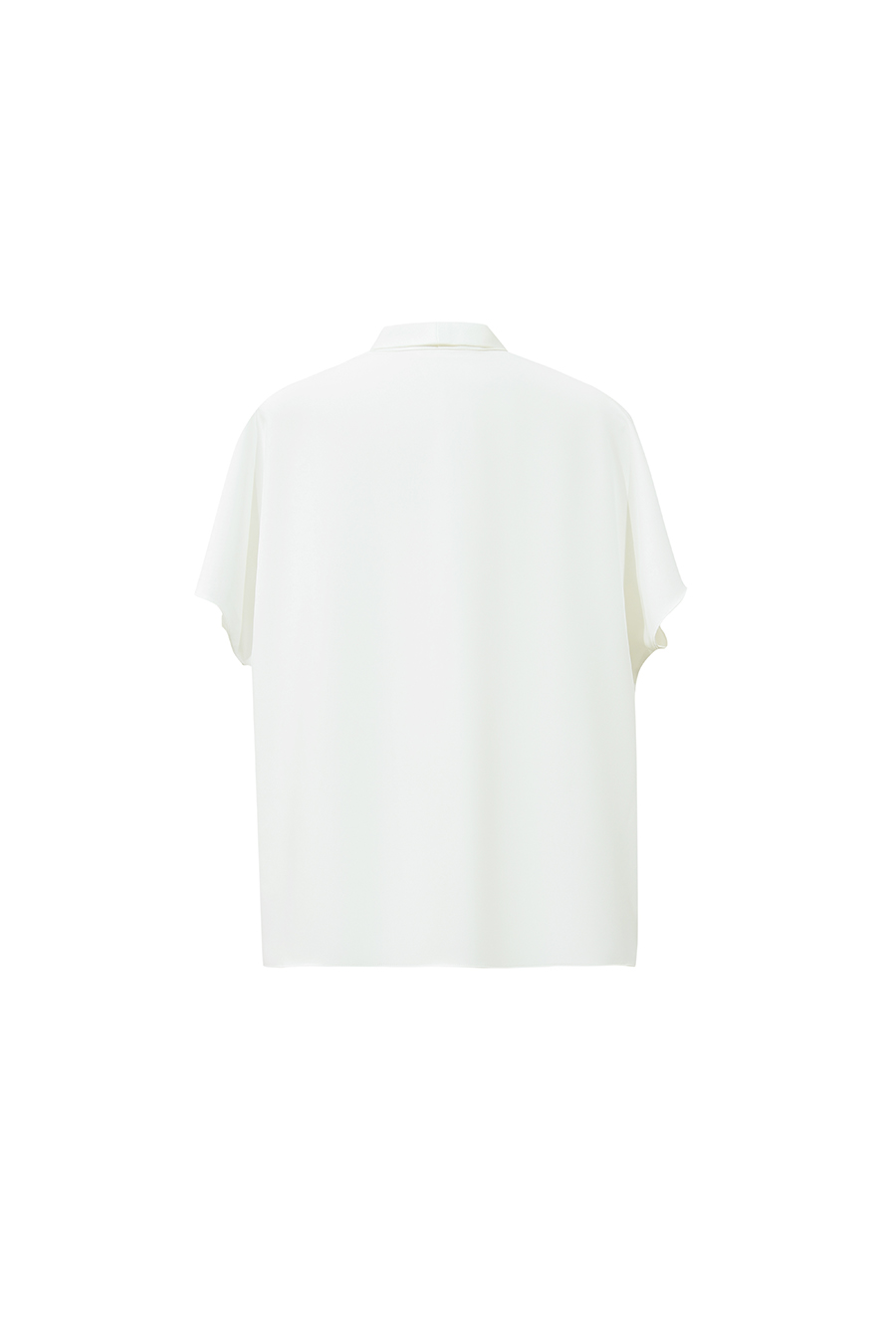 Satin Tie Neck Chiffon Blouse|AMII