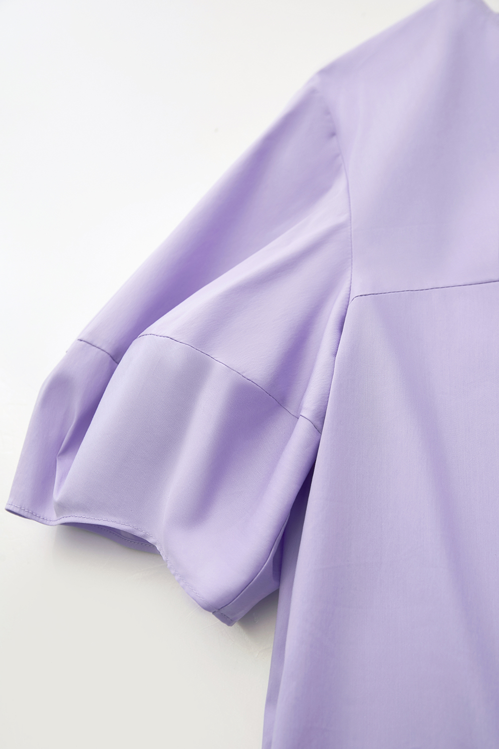 Round Neck Lantern Sleeve Shirt