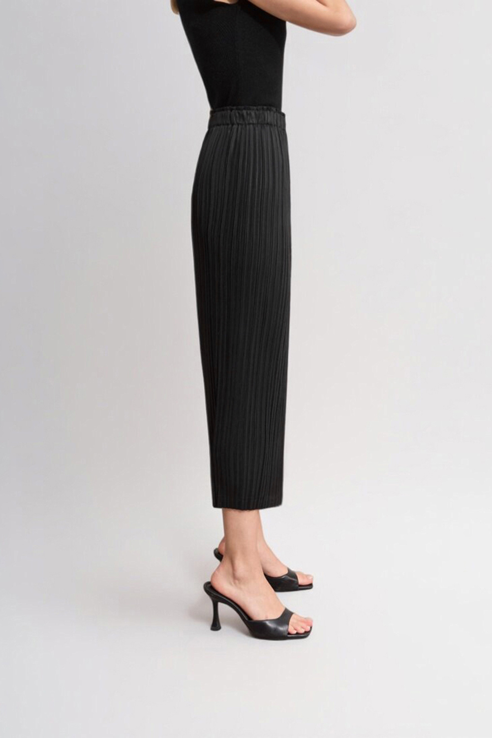 Elastic Pleated Skirt