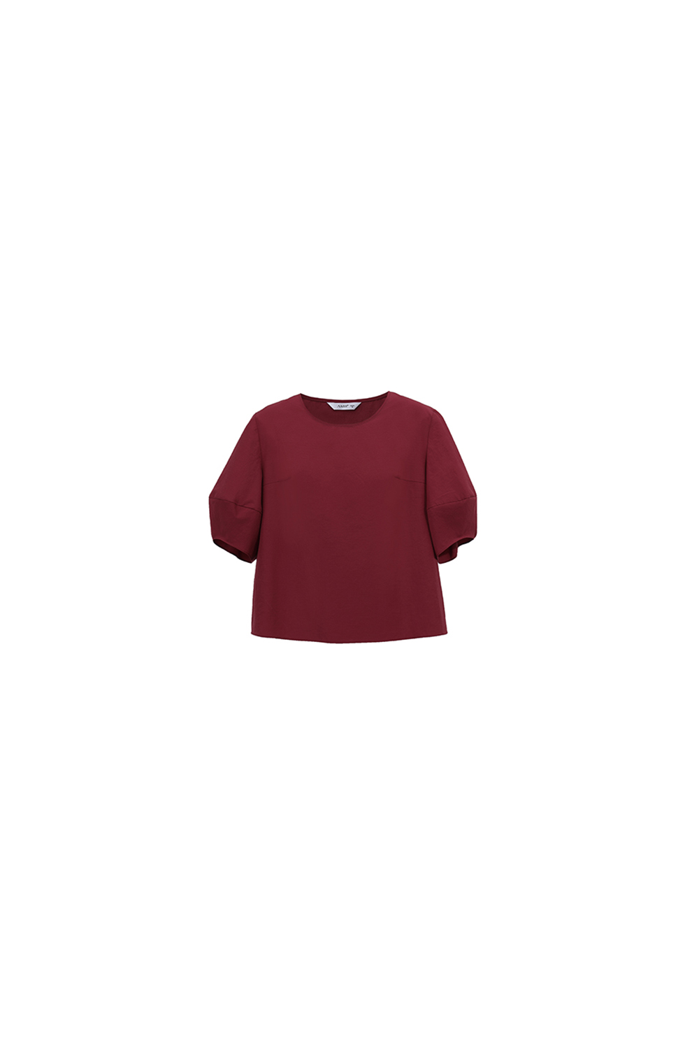 Round Neck Lantern Sleeve Shirt