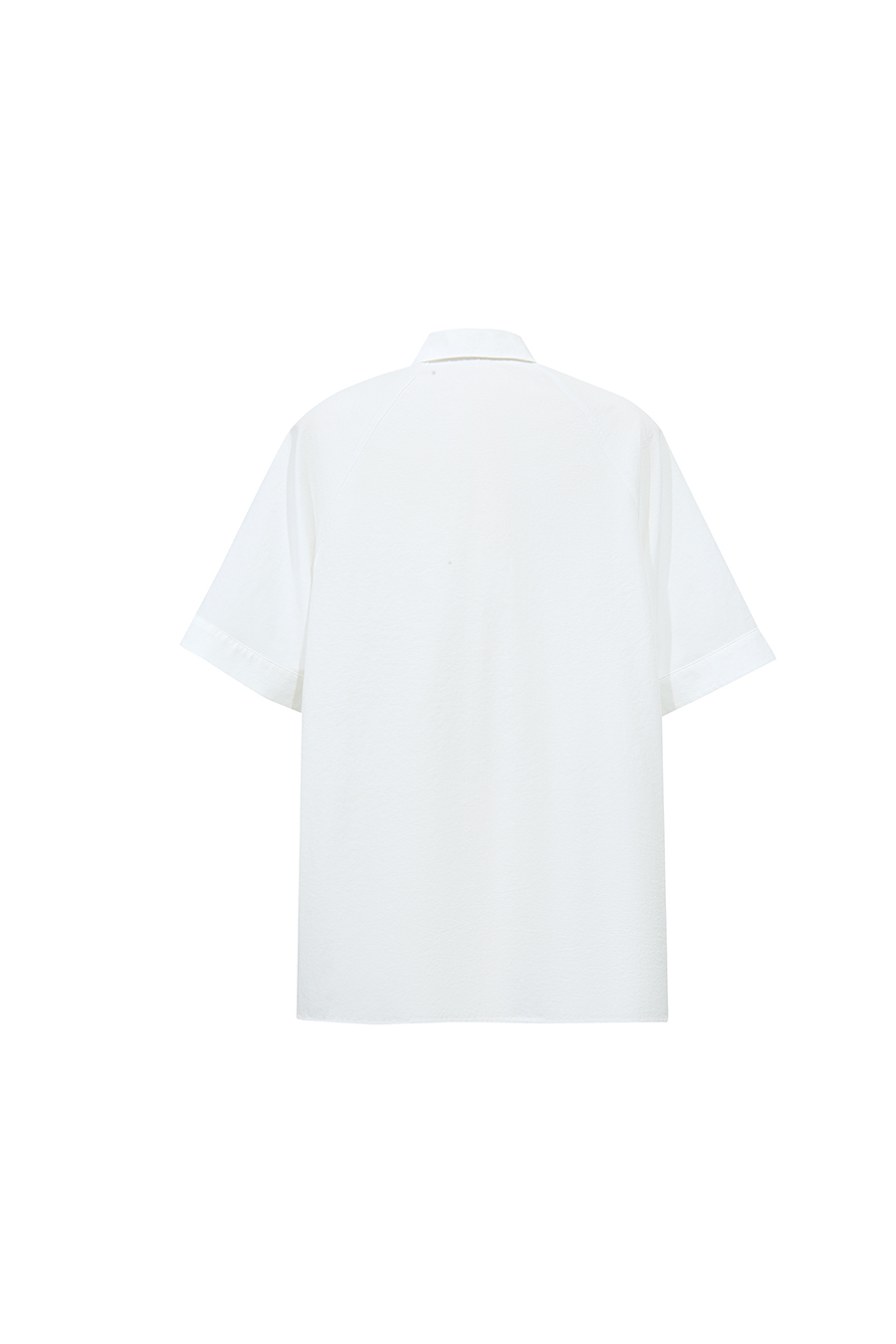 Lapel Raglan Sleeve Shirt