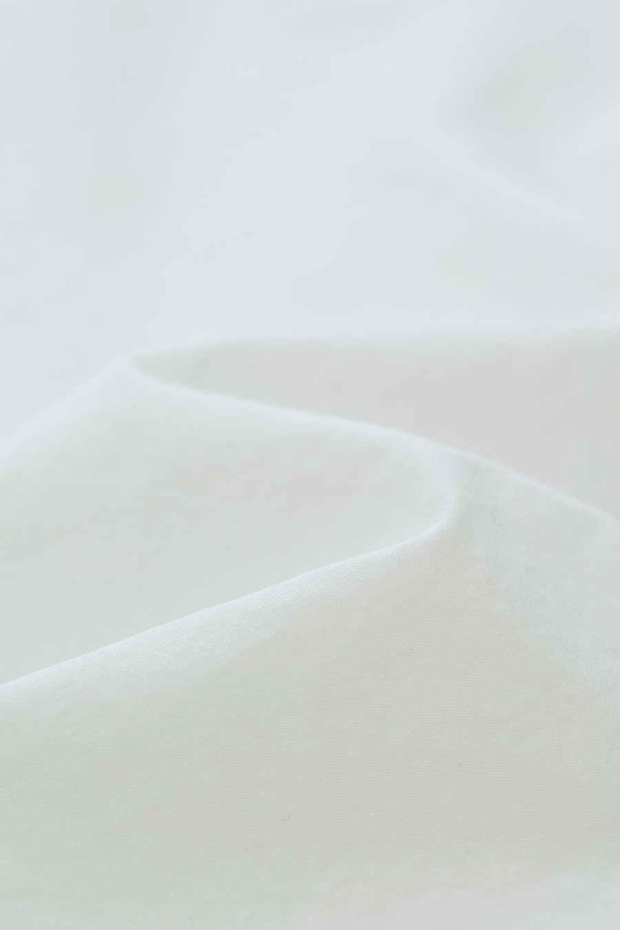 Lapel Raglan Sleeve Shirt