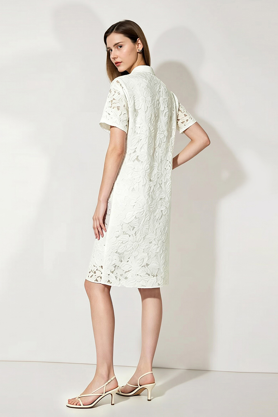 Stand Collar Frog Button Dress|AMII