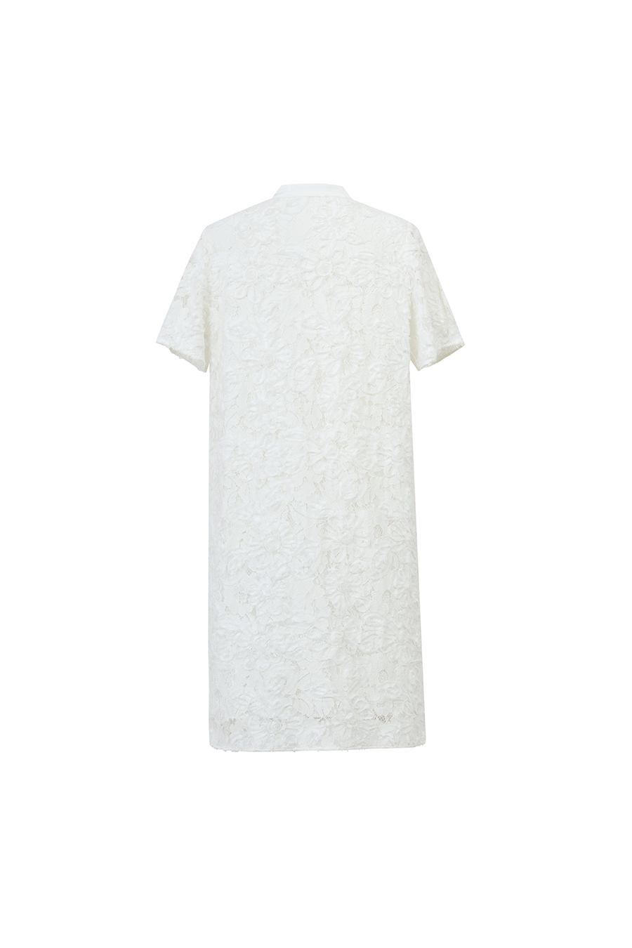 Stand Collar Frog Button Dress|AMII