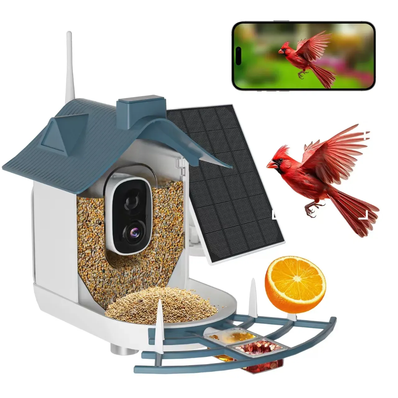 Nest Birdy Intelligenter Vogelfutterspender F9