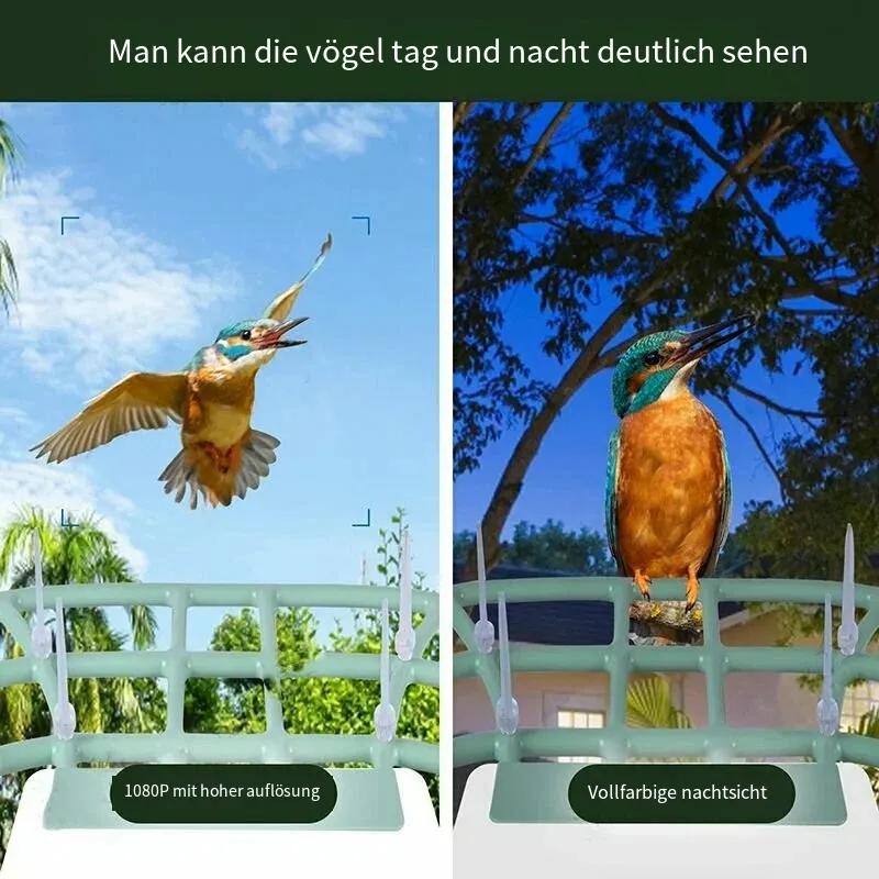 Nest Birdy Intelligenter Vogelfutterspender F9