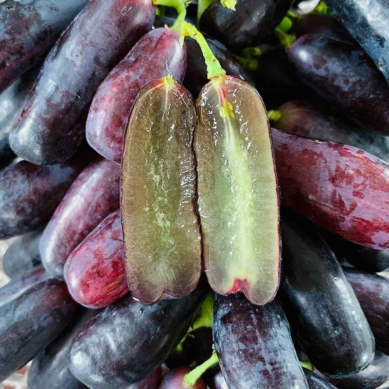 💜Sladké zafírové hrozno (vzácne odrody hrozna) 🍇