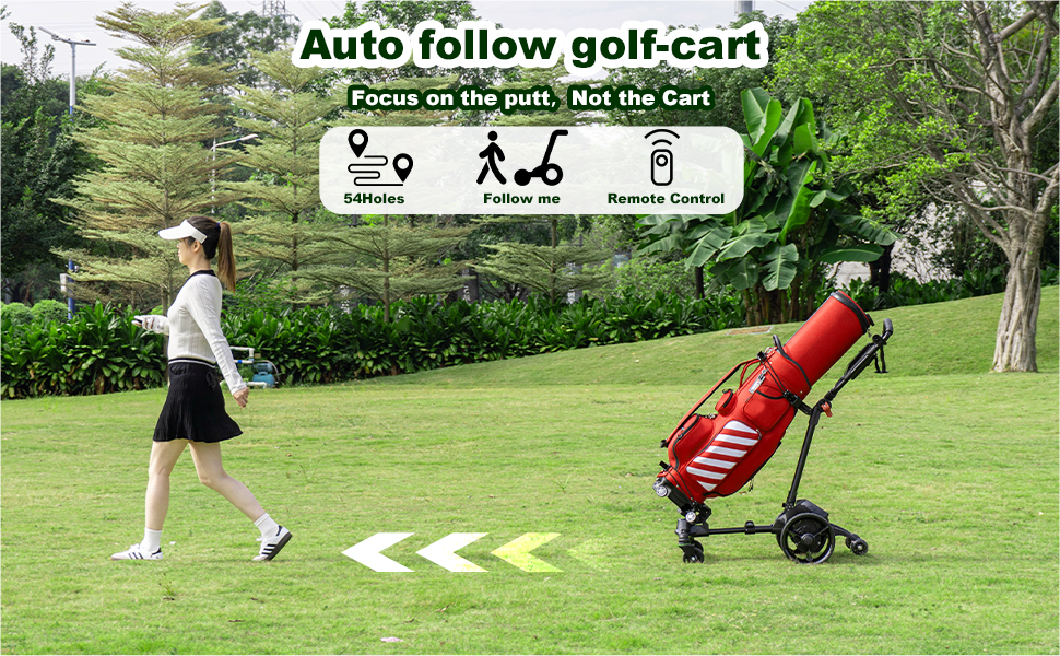 golf cart electric