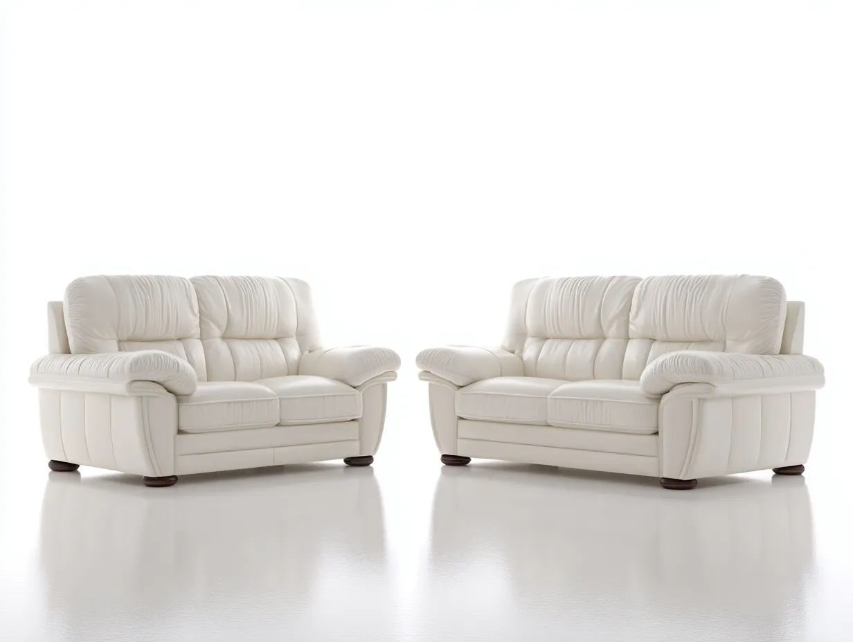 Ensemble canapé 2 places en cuir véritable 160x95x90 cm x2 - blanc - design contemporain confortable-Luxeixe