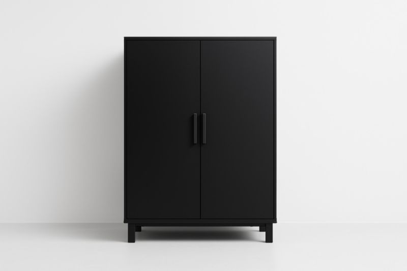 Armoire de rangement à deux portes en MDF noir