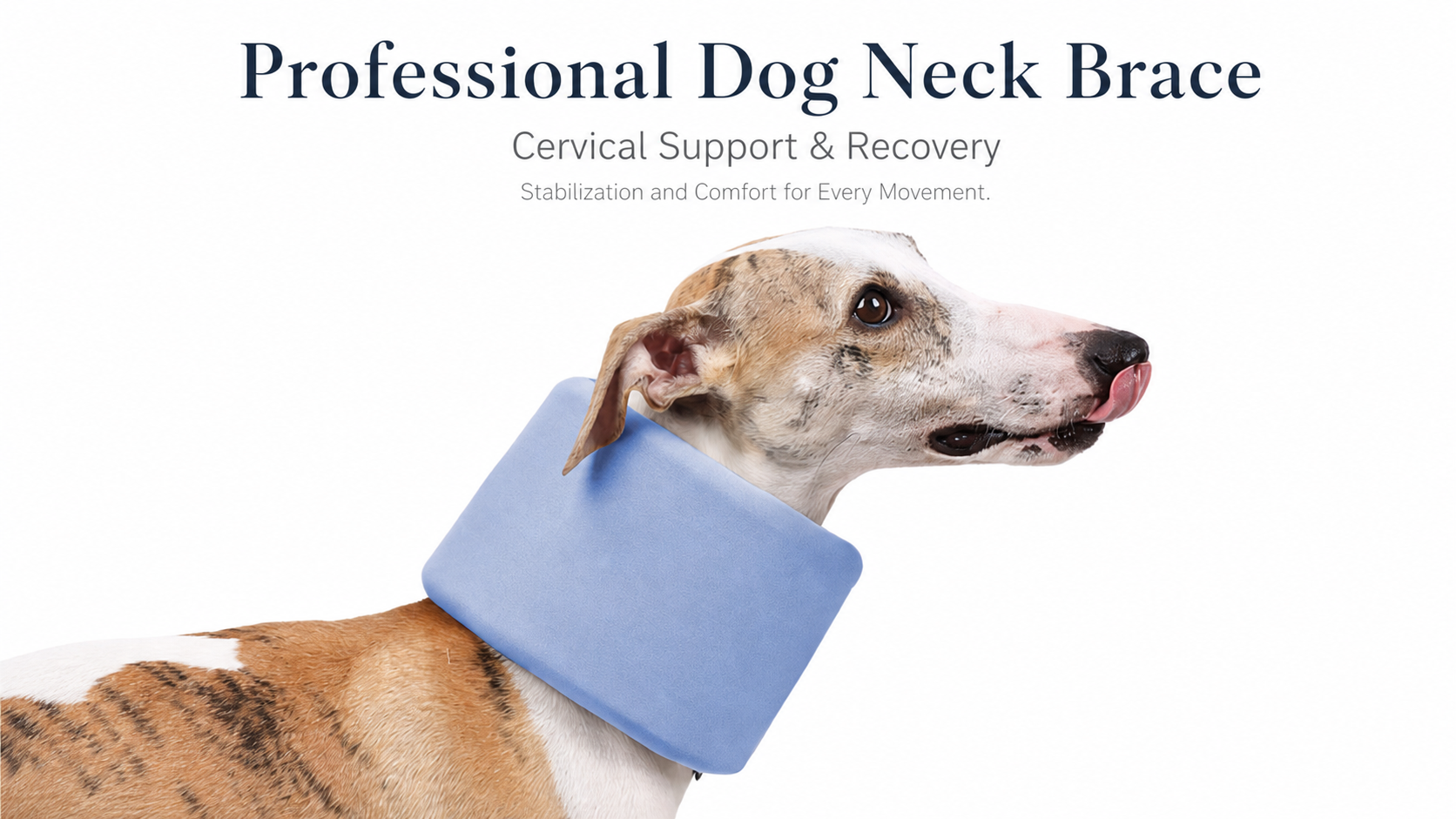 Soft Neck Support Collar for Dogs