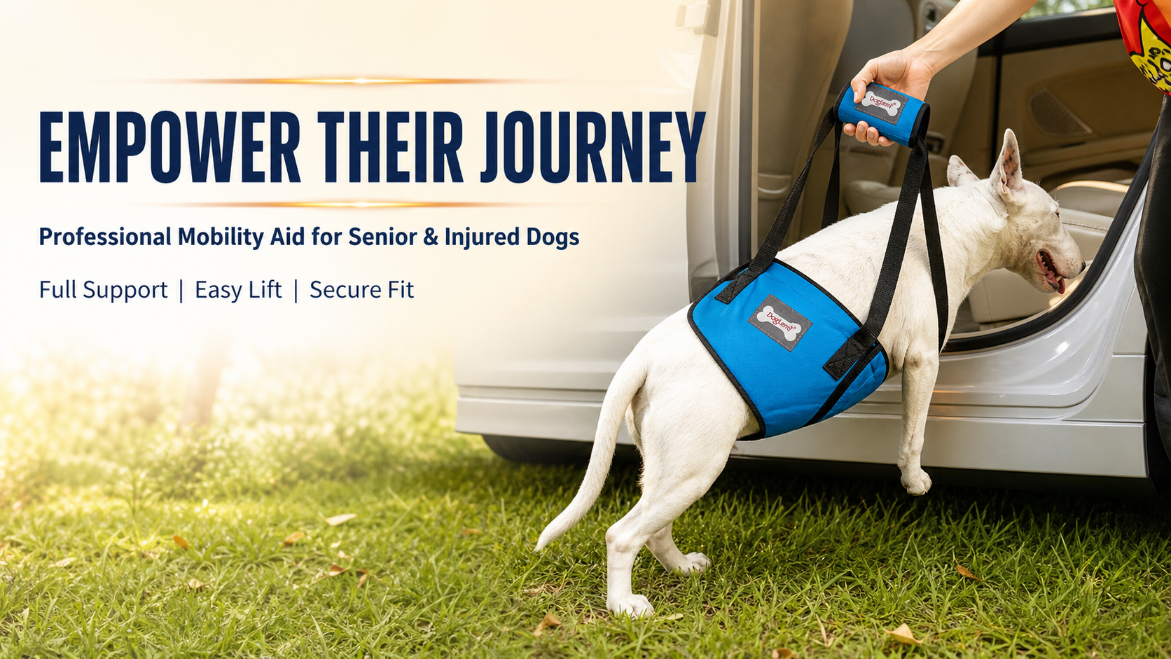 Rear Lift Support Harness for Dogs