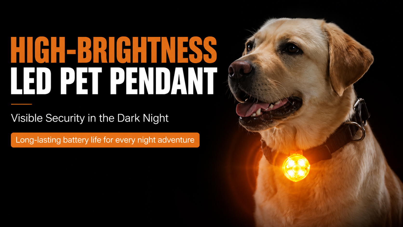 Rechargeable LED Dog Collar Safety Light