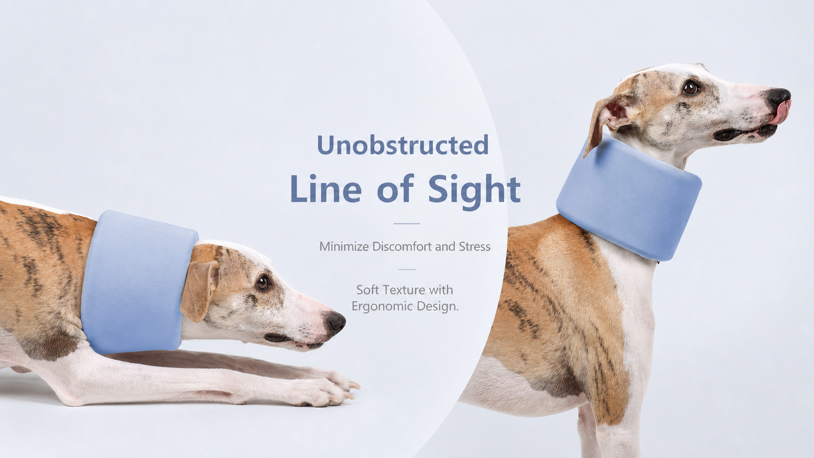 Soft Neck Support Collar for Dogs
