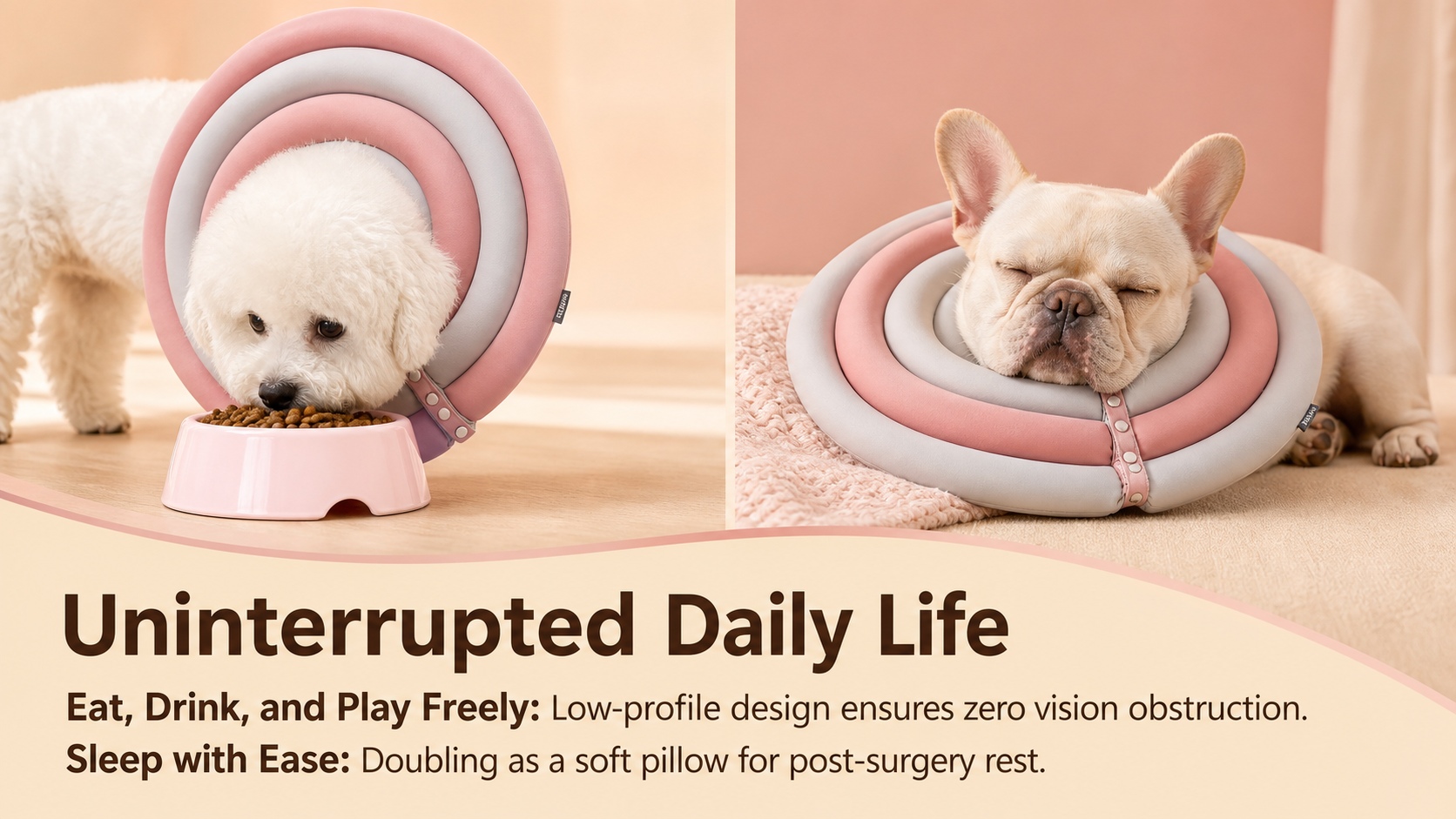 Soft Protective Recovery Collar for Dogs & Cats