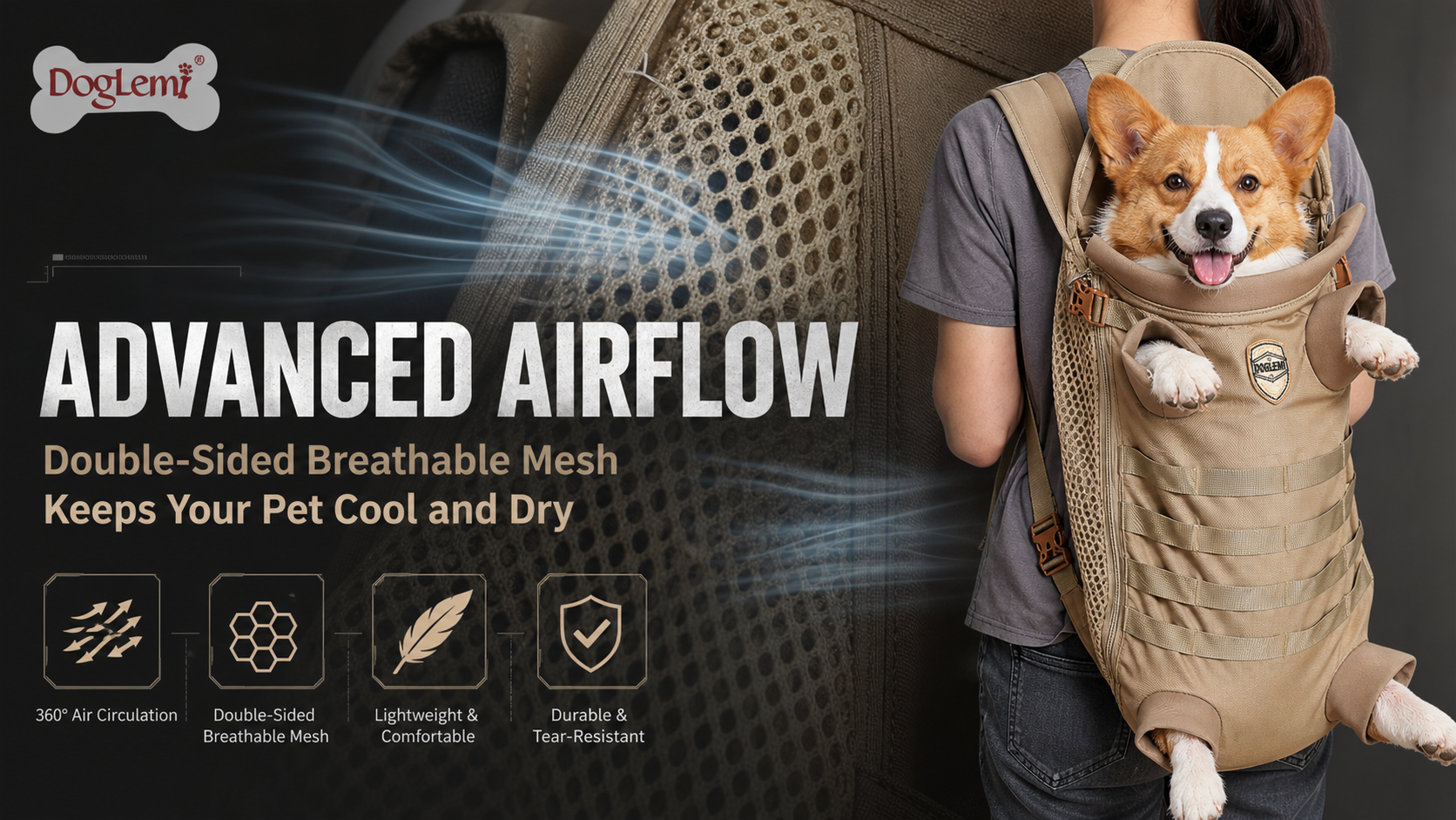 Soft Protective Recovery Collar for Dogs & Cats