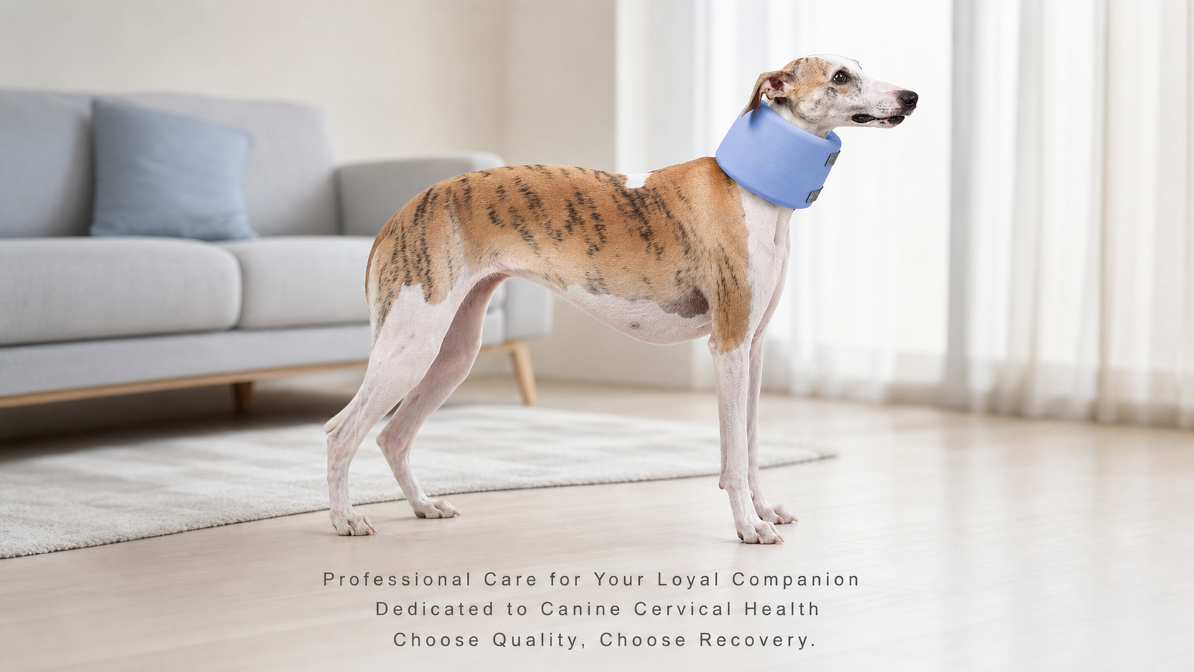 Soft Neck Support Collar for Dogs