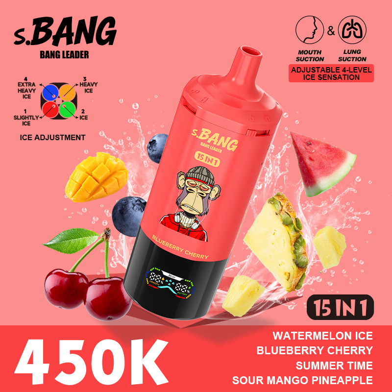 Bang Leader 450K Puffs 15 in 1