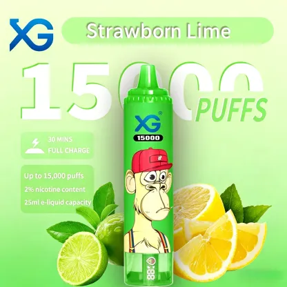 XGVAPE 15000 PUFFS