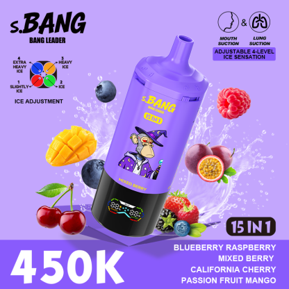 Bang Leader 450K Puffs 15 in 1