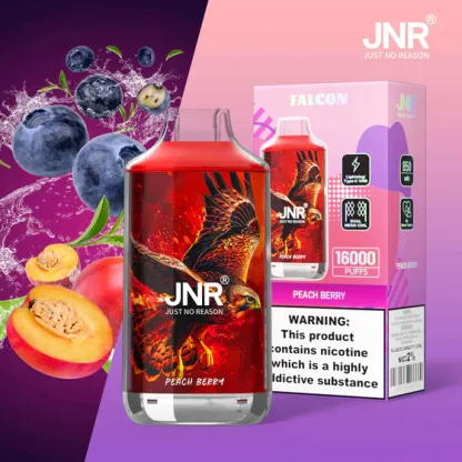 JNR Falcon 16000 Disposable Vape – 16,000 Puffs, 22mL E-Liquid, 850mAh Battery,  Available in Multiple Flavors