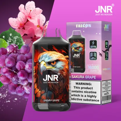 JNR Falcon 16000 Disposable Vape – 16,000 Puffs, 22mL E-Liquid, 850mAh Battery,  Available in Multiple Flavors