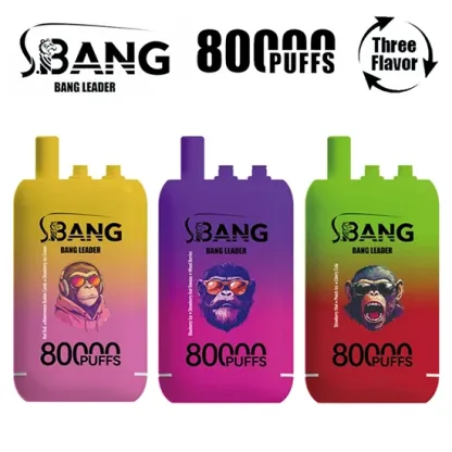 Bang Leader 80000 80K Puffs Rechargeable Disposable Vape – 3 in 1 Flavors, Mesh Coil, Type-C Fast Charging, 850mAh Battery