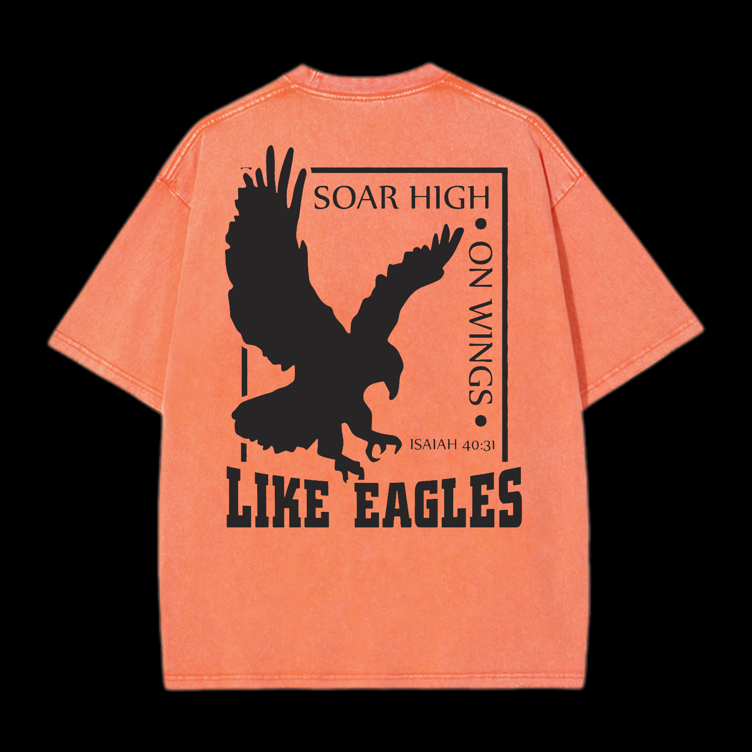 Like Eagles Washed T-Shirt