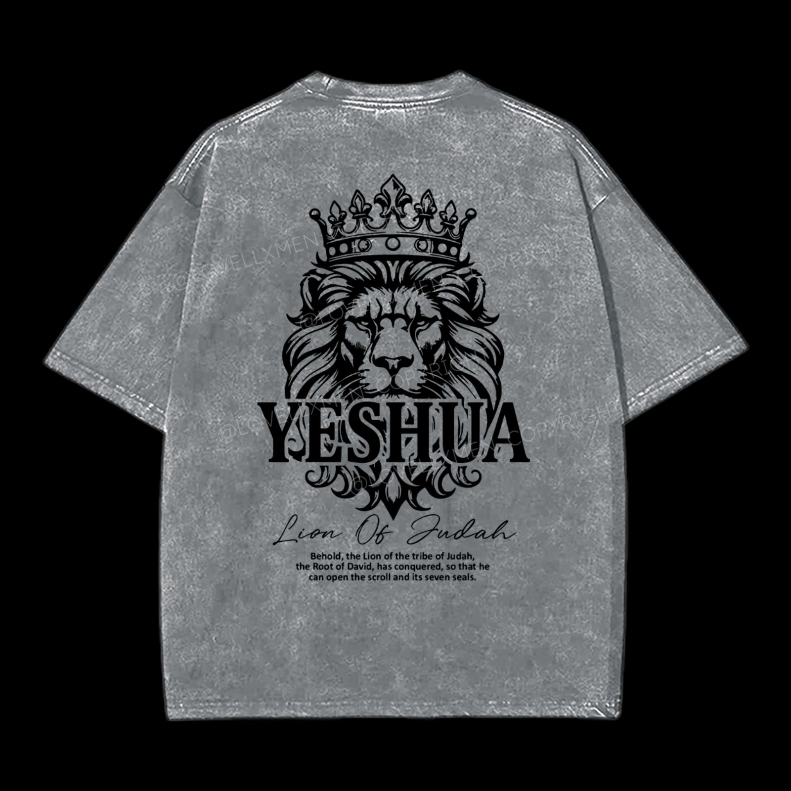 Lion Of Judah Washed T-Shirt