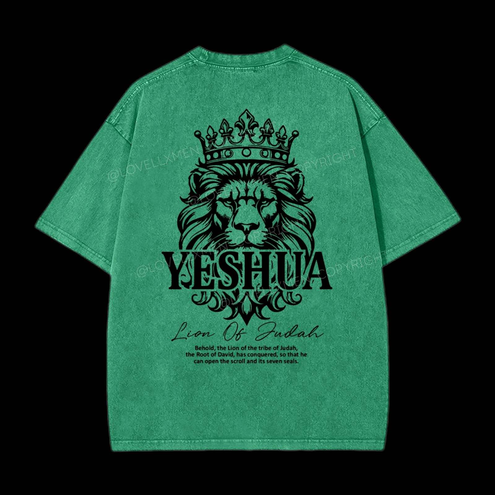 Lion Of Judah Washed T-Shirt