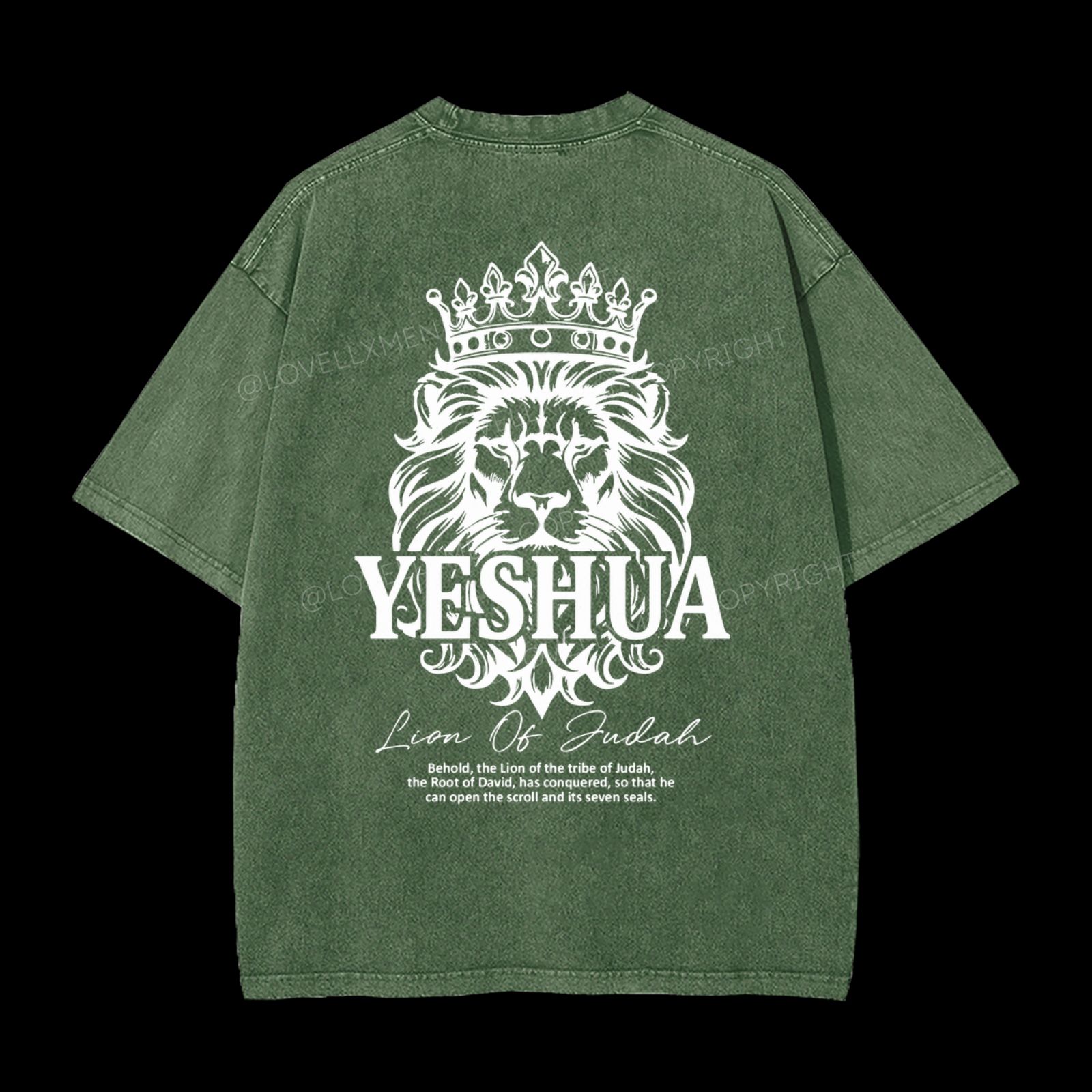 Lion Of Judah Washed T-Shirt