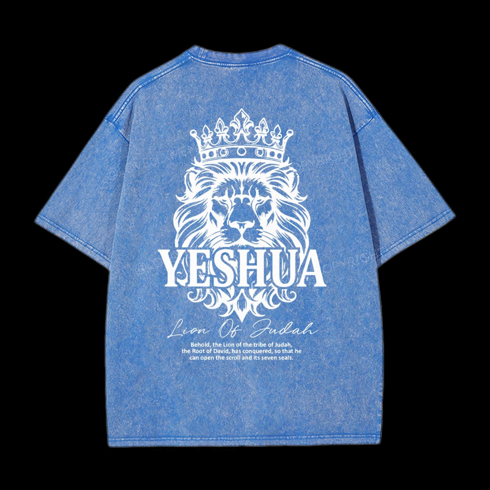 Lion Of Judah Washed T-Shirt