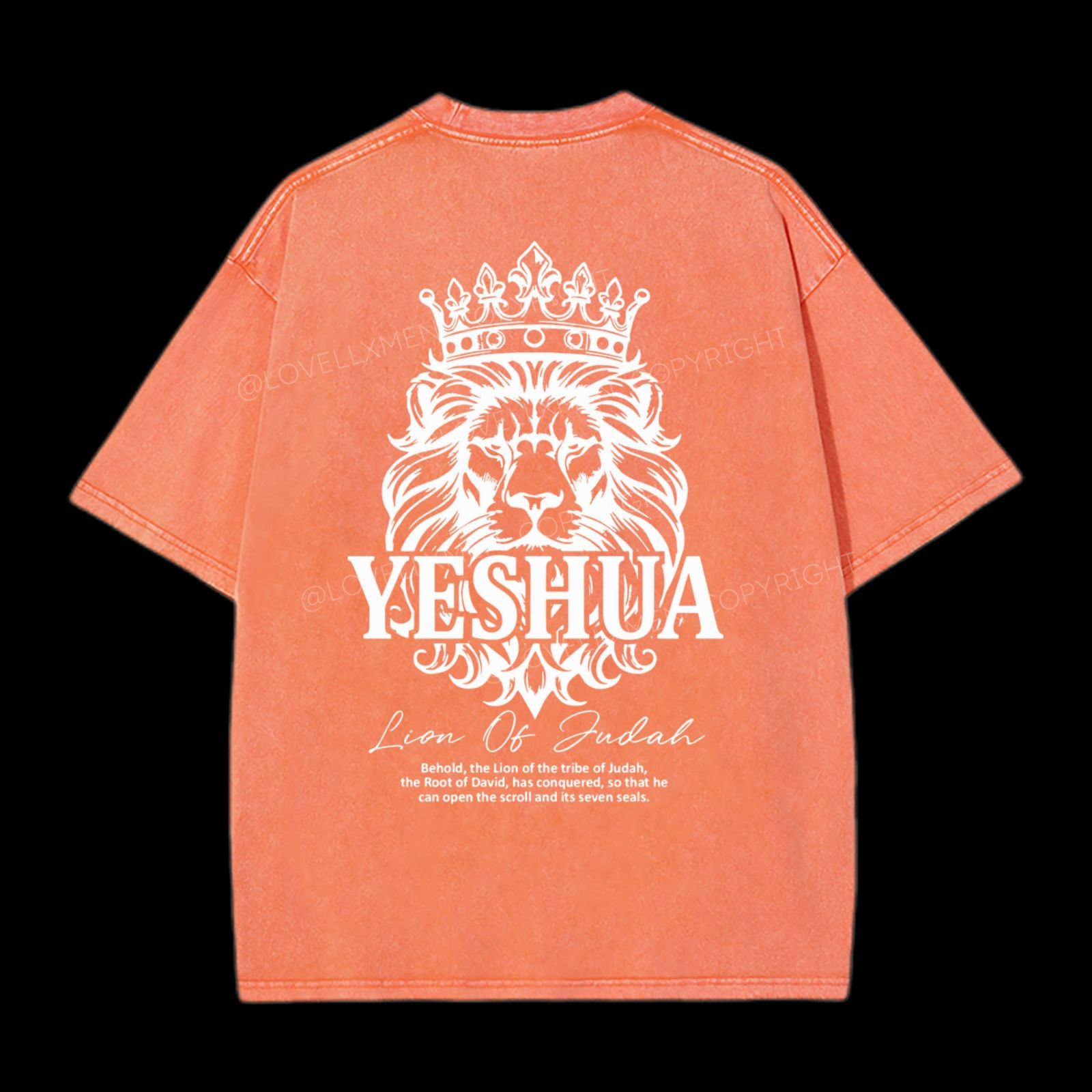 Lion Of Judah Washed T-Shirt