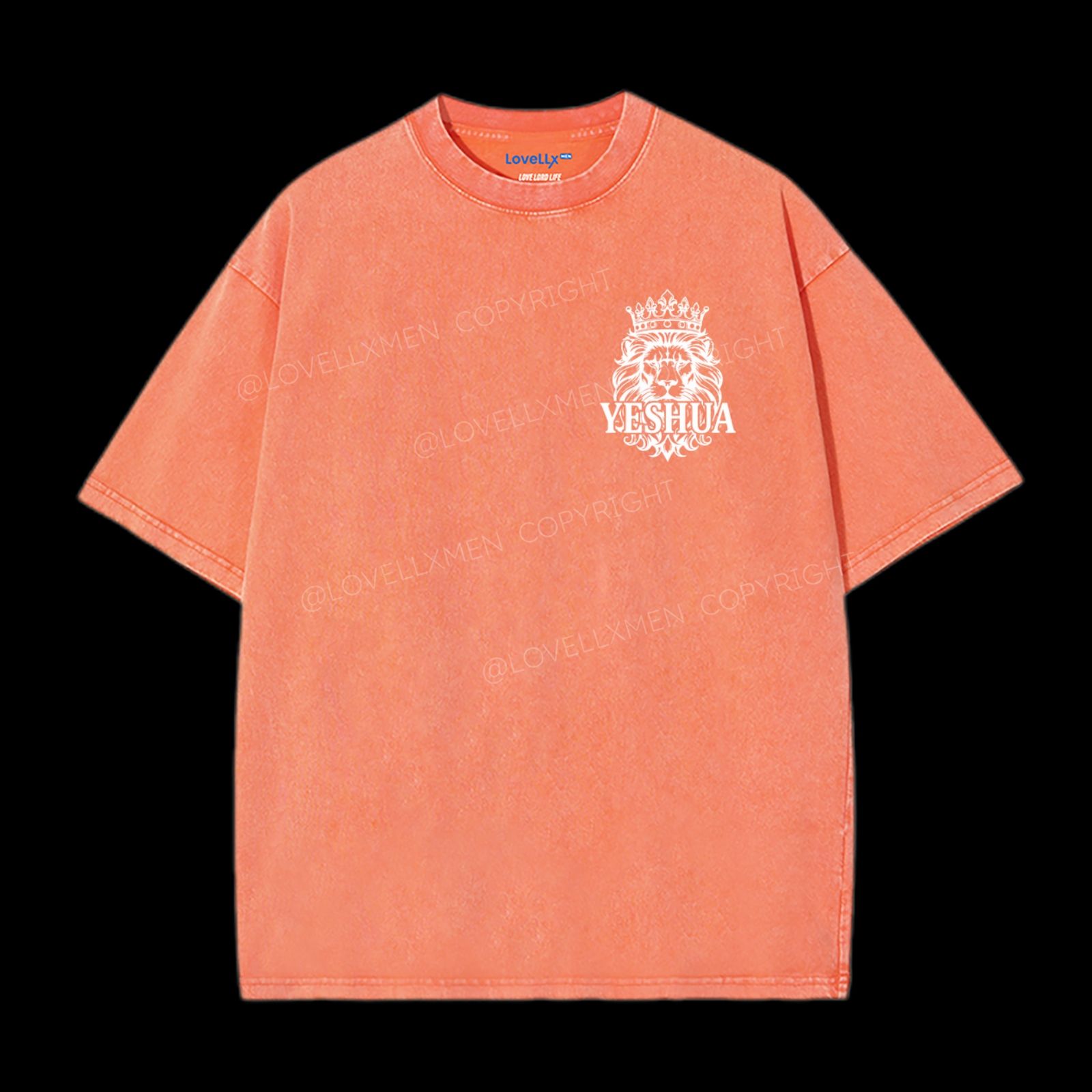 Lion Of Judah Washed T-Shirt