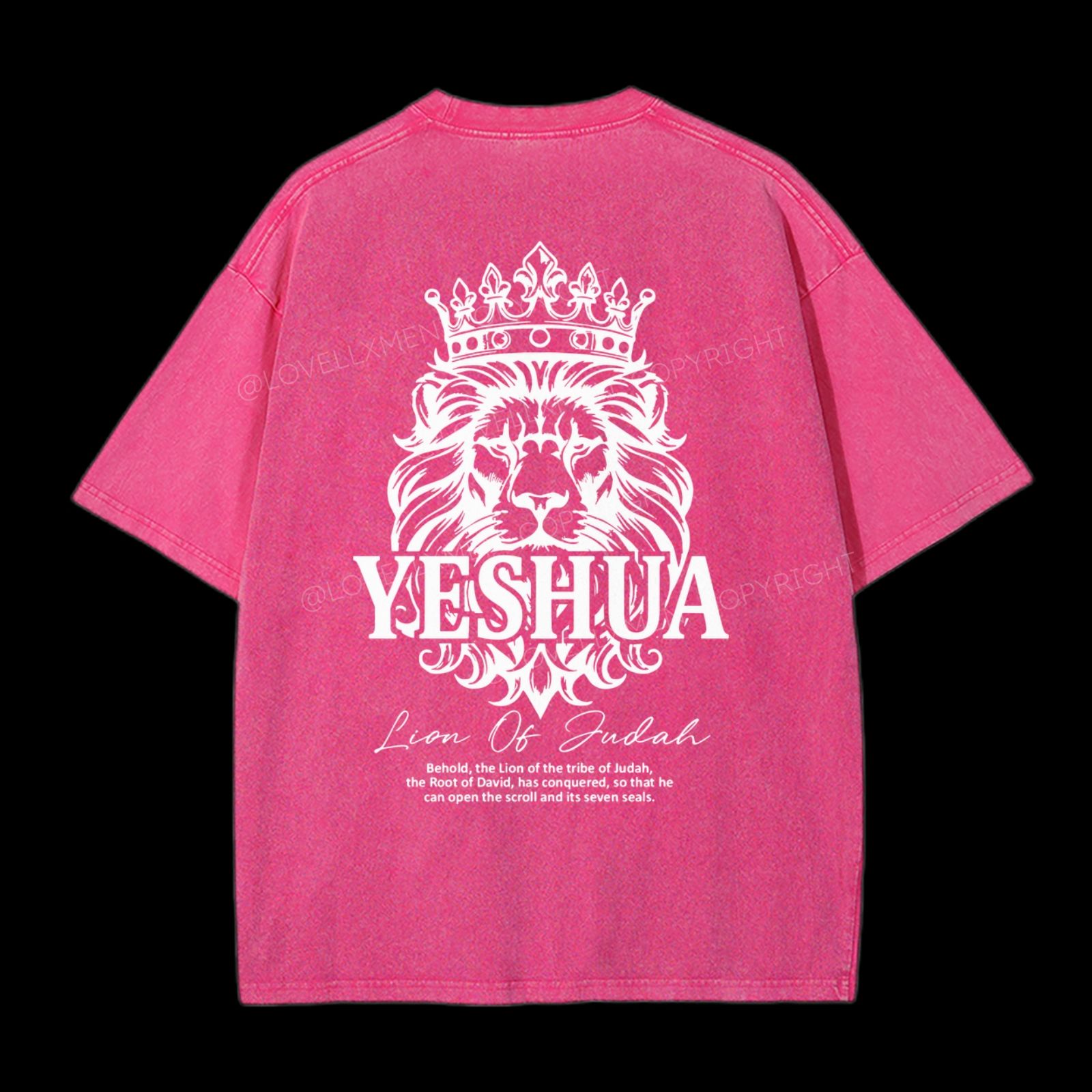 Lion Of Judah Washed T-Shirt