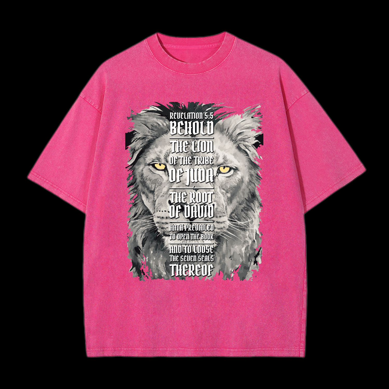Revelation 5:5 Washed T-Shirt