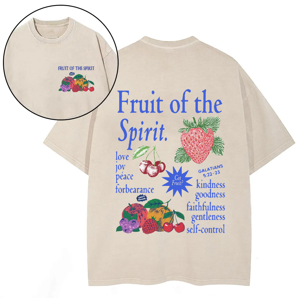 Fruit Of The Spirit Christian Washed T-Shirt