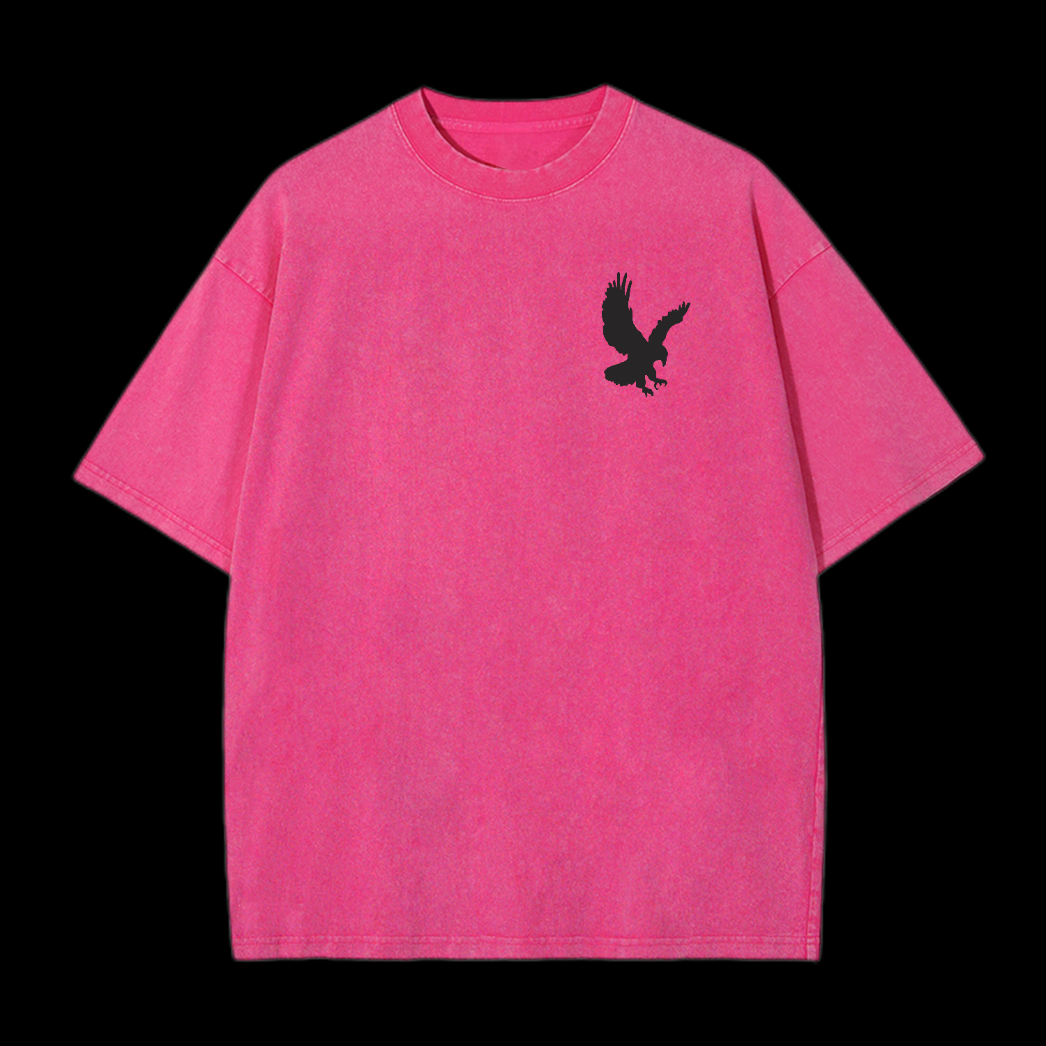 Like Eagles Washed T-Shirt