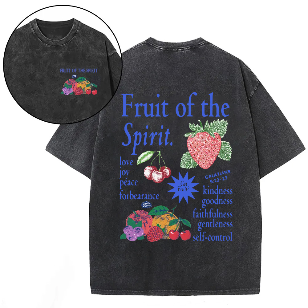 Fruit Of The Spirit Christian Washed T-Shirt