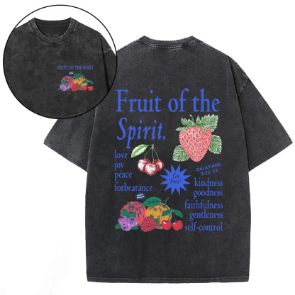 Fruit Of The Spirit Christian Washed T-Shirt