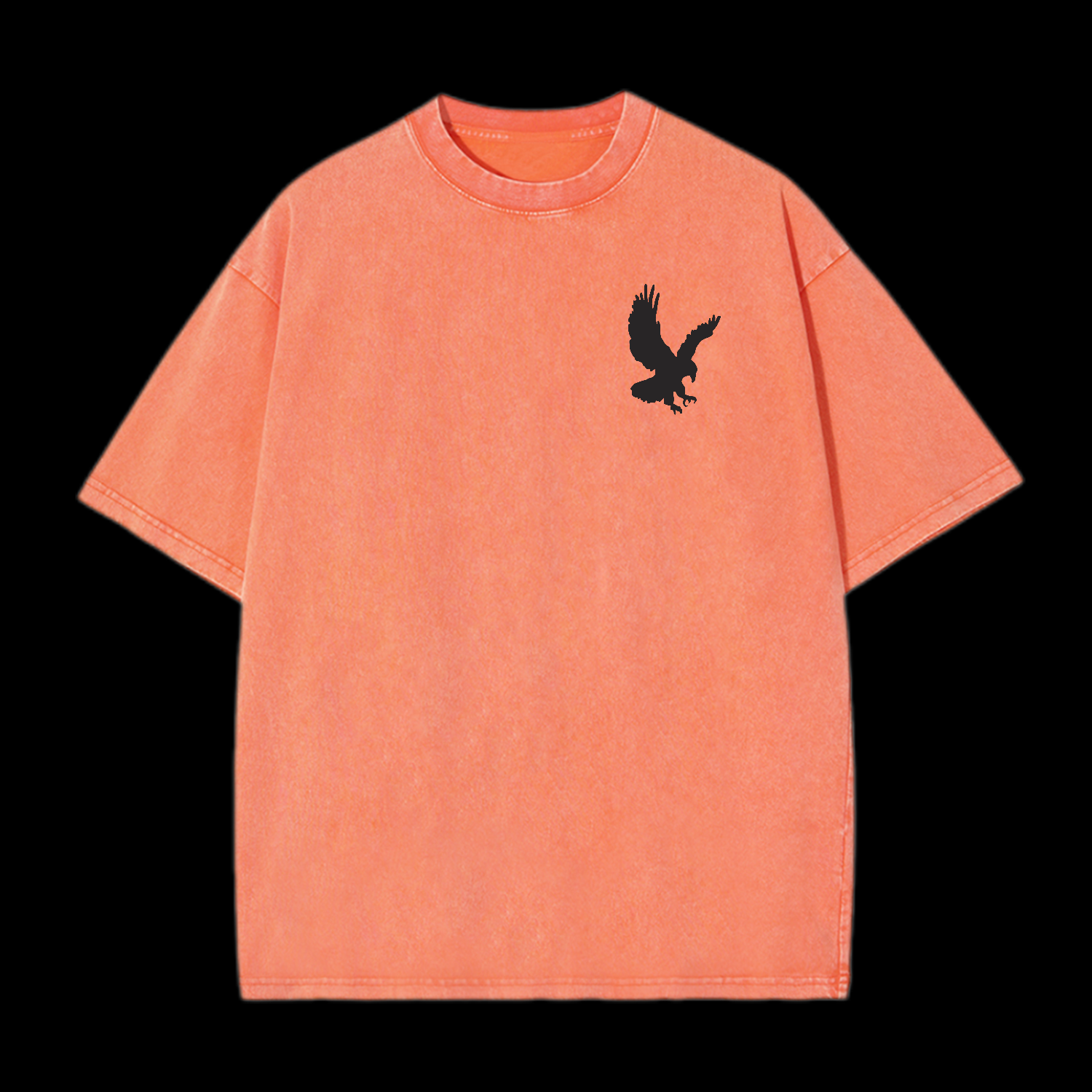 Like Eagles Washed T-Shirt