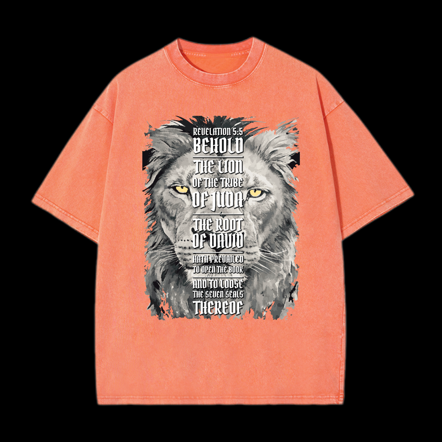 Revelation 5:5 Washed T-Shirt