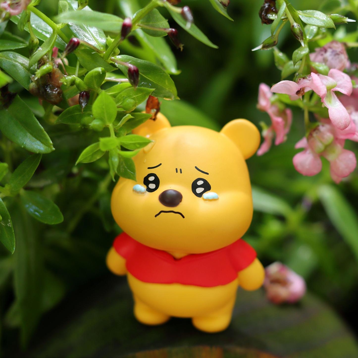 Popular Cartoon Series: Hold Back Your Tears Cute Figure
