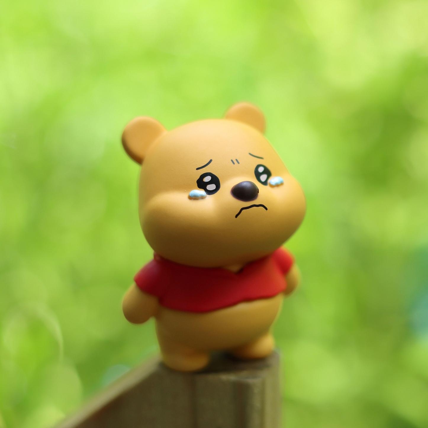 Popular Cartoon Series: Hold Back Your Tears Cute Figure